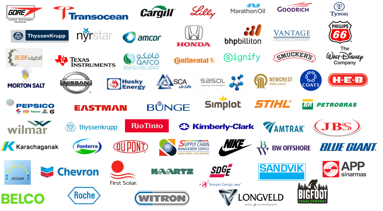 Trusted by Major Companies